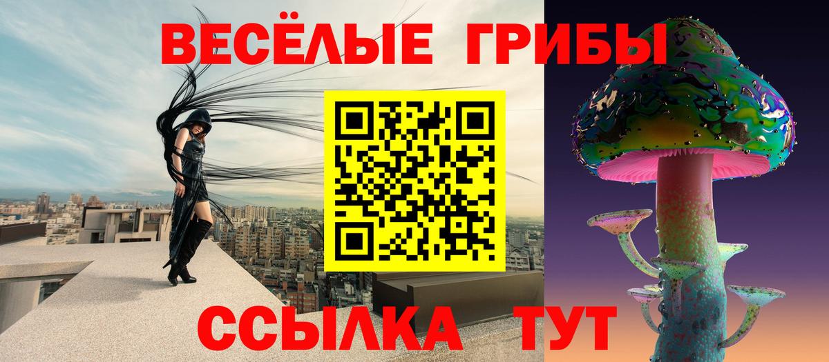 Галлюциногенные грибы Psilocybe  Вход с VPN  Усть-Джегута 