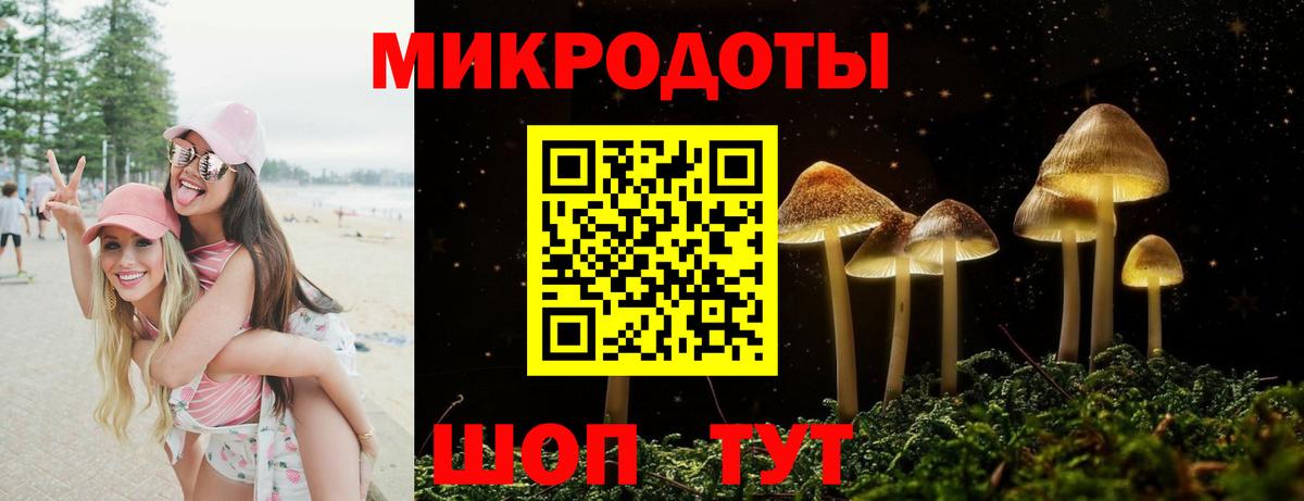 Псилоцибиновые грибы GOLDEN TEACHER Усть-Джегута