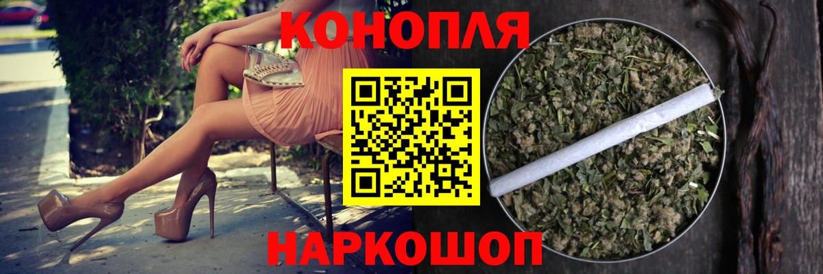 Бошки марихуана планчик Усть-Джегута